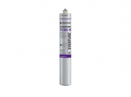 Everpure ไส้กรอง 7CB5-K(EV9617-76)